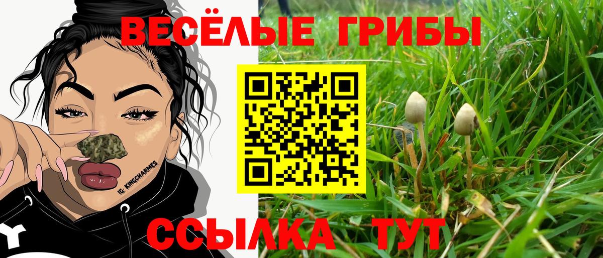 Комсомольск-на-Амуре  Псилоцибиновые грибы Psilocybe  Вход с VPN  Псилоцибиновые грибы ЛСД 