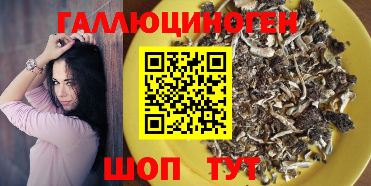 Галлюциногенные грибы Psilocybine cubensis Комсомольск-на-Амуре